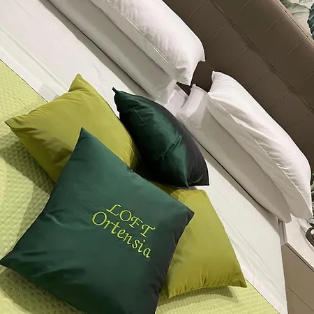 Loft Ortensia Apartman